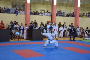 Сочи 2014