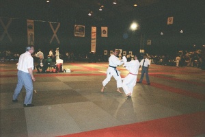 Чемпионат мира WKC, Абердин 2001
