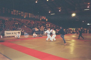 Чемпионат мира WKC, Абердин 2001