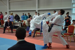 Чемпионат России по ВБЕ (Сито рю), 2015