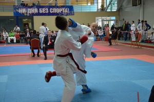 Чемпионат России по ВБЕ (Сито рю), 2015
