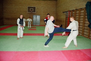 Семинар Валерий Козлов 2001