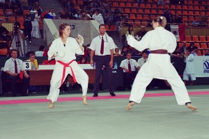 Чемпионат мира, Москва 2003