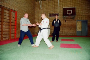Семинар Валерий Козлов 2001
