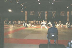 Чемпионат мира WKC, Абердин 2001