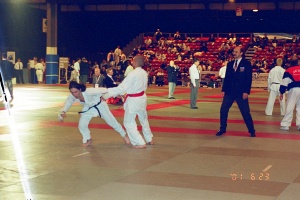 Чемпионат мира WKC, Абердин 2001