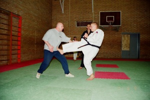 Семинар Валерий Козлов 2001