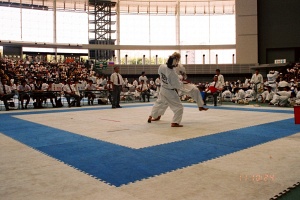 Чемпионат Токио 2002