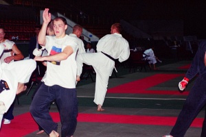 Чемпионат мира, Москва 2003