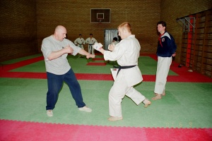 Семинар Валерий Козлов 2001