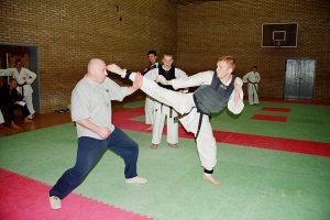 Семинар Валерий Козлов 2001