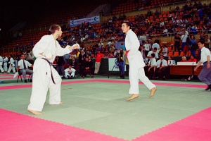 Чемпионат мира, Москва 2003