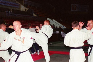 Чемпионат мира, Москва 2003