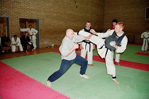 Семинар Валерий Козлов 2001