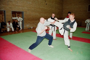 Семинар Валерий Козлов 2001