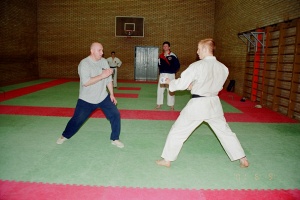 Семинар Валерий Козлов 2001