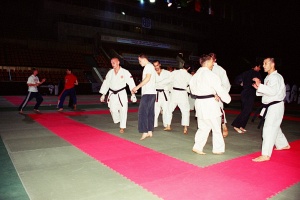 Чемпионат мира, Москва 2003