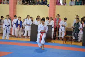 Сочи 2014