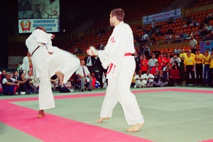 Чемпионат мира, Москва 2003