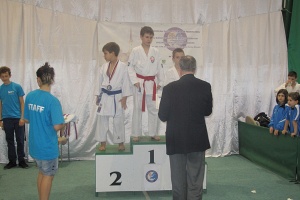 Чемпионат Европы Словакия 2013г