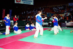 Чемпионат мира, Москва 2003