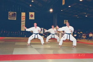 Чемпионат мира WKC, Абердин 2001