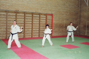 Семинар Валерий Козлов 2001
