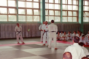 Чемпионат мира, Москва 2003