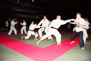 Чемпионат мира, Москва 2003