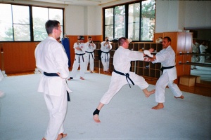 Чемпионат мира, Токио 2000