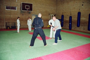 Семинар Валерий Козлов 2001
