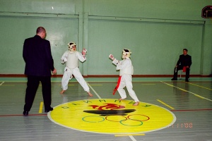 Чемпионат коричневых поясов 2000