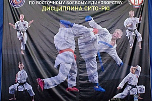 Первенство ПФО 2017