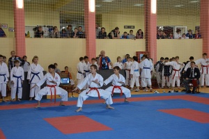 Сочи 2014