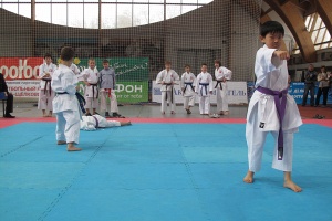 ПР Сито-рю март 2012