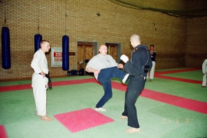 Семинар Валерий Козлов 2001