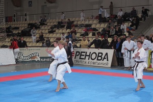 ПР Сито-рю март 2012