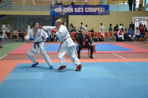 Чемпионат России по ВБЕ (Сито рю), 2015