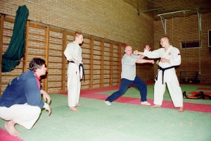 Семинар Валерий Козлов 2001